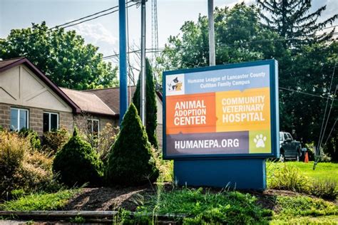 Lancaster humane society - The mission of the Humane League of Lancaster County is to ensure the health, happiness and welfare of domesticated animals in Lancaster County. For the …